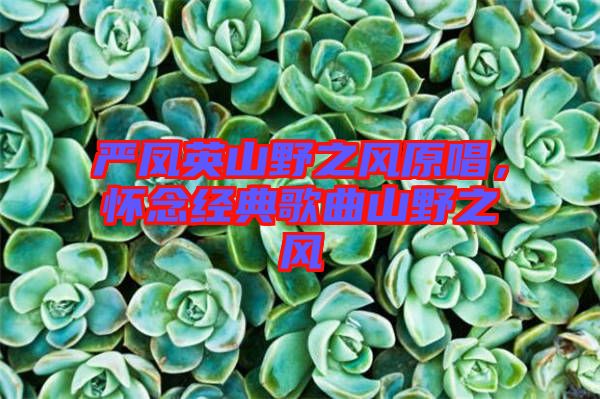 嚴鳳英山野之風(fēng)原唱，懷念經(jīng)典歌曲山野之風(fēng)