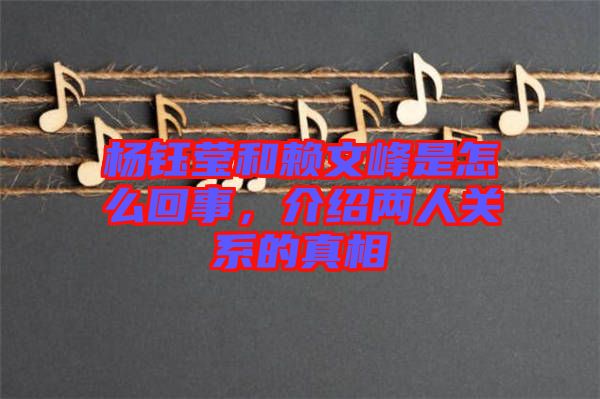 楊鈺瑩和賴文峰是怎么回事，介紹兩人關(guān)系的真相