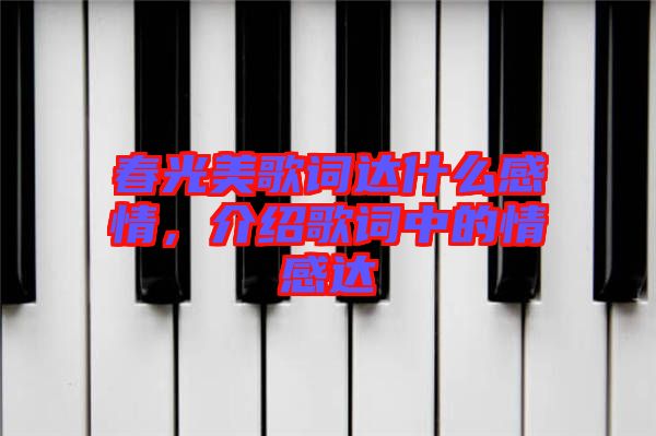 春光美歌詞達(dá)什么感情，介紹歌詞中的情感達(dá)