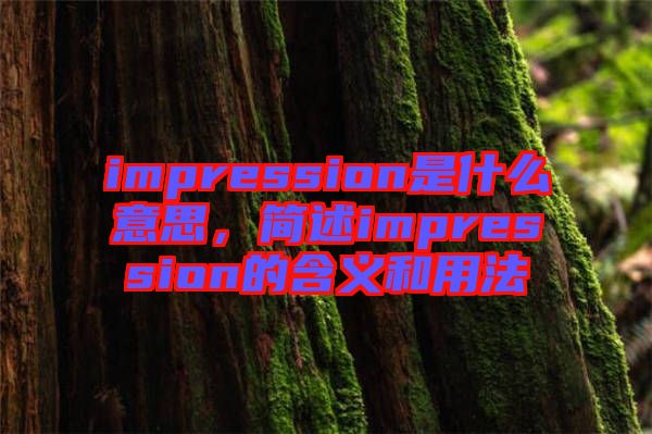 impression是什么意思，簡述impression的含義和用法