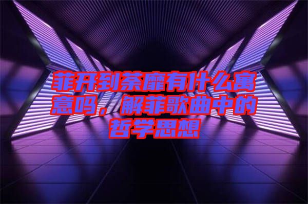 菲開到荼靡有什么寓意嗎，解菲歌曲中的哲學思想