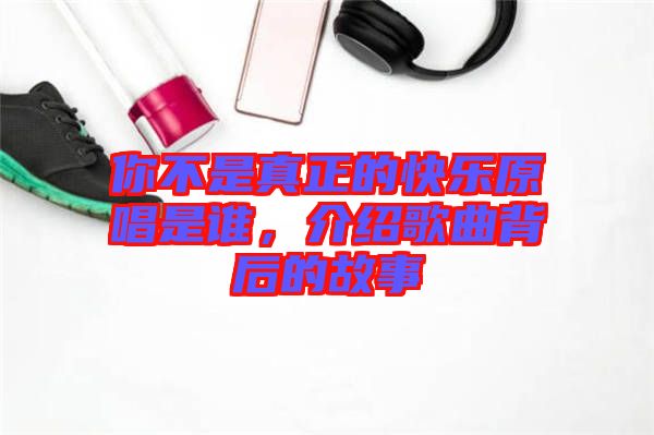 你不是真正的快樂原唱是誰，介紹歌曲背后的故事