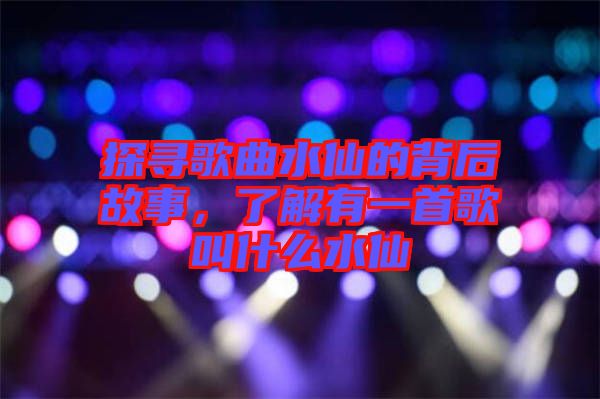 探尋歌曲水仙的背后故事，了解有一首歌叫什么水仙