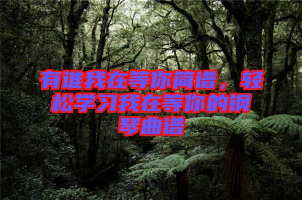 有誰我在等你簡譜，輕松學(xué)習(xí)我在等你的鋼琴曲譜