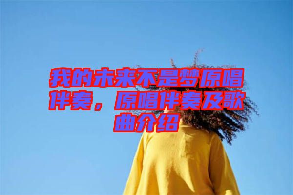 我的未來不是夢(mèng)原唱伴奏，原唱伴奏及歌曲介紹