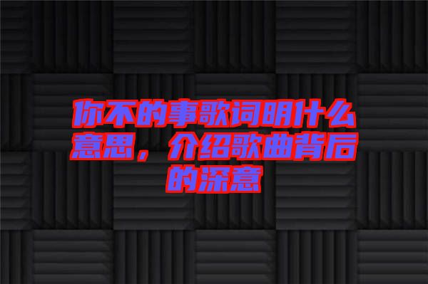 你不的事歌詞明什么意思，介紹歌曲背后的深意