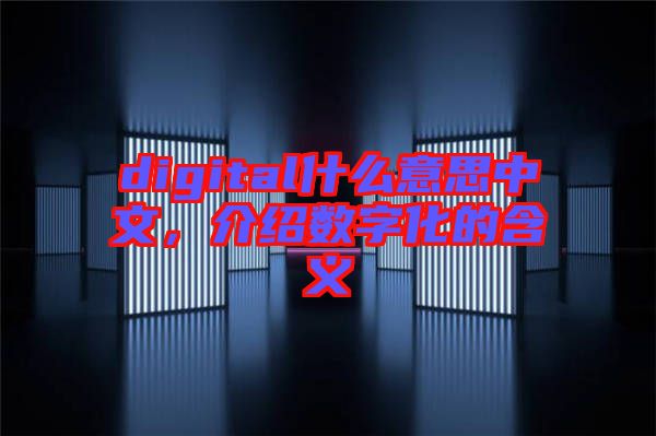 digital什么意思中文，介紹數(shù)字化的含義