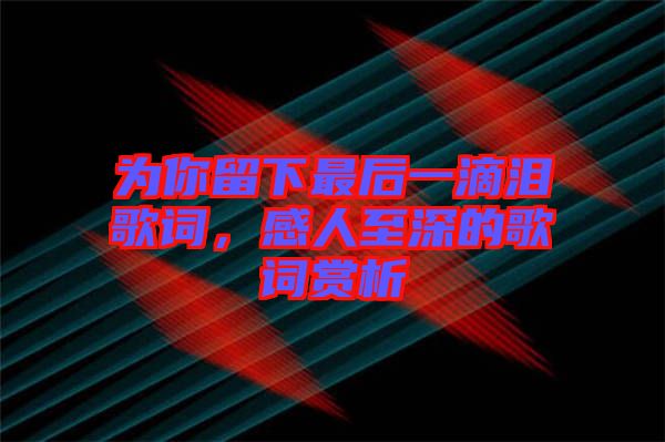 為你留下最后一滴淚歌詞，感人至深的歌詞賞析