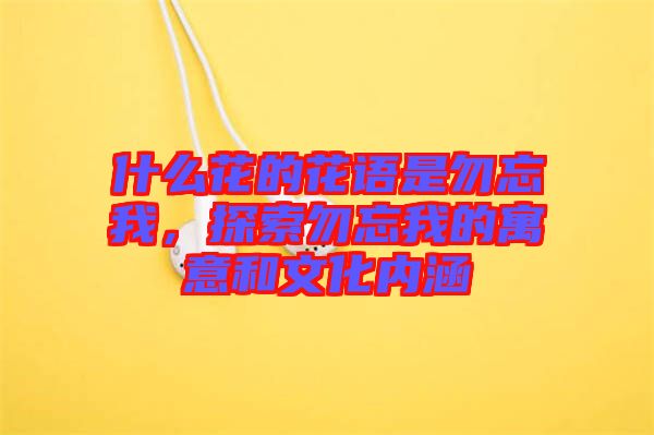 什么花的花語是勿忘我，探索勿忘我的寓意和文化內(nèi)涵