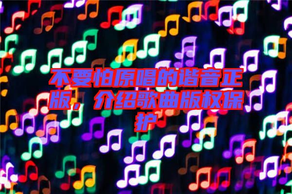 不要怕原唱的諧音正版，介紹歌曲版權(quán)保護(hù)