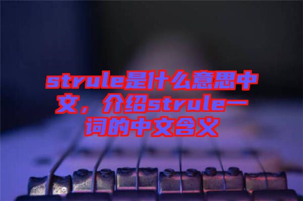 strule是什么意思中文，介紹strule一詞的中文含義