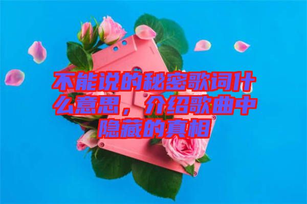 不能說的秘密歌詞什么意思，介紹歌曲中隱藏的真相