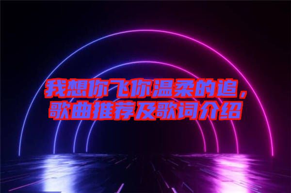 我想你飛你溫柔的追，歌曲推薦及歌詞介紹