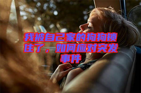 我被自己家的狗狗鎖住了，如何應(yīng)對(duì)突發(fā)事件