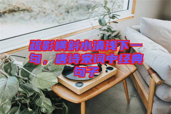 疏影橫斜水清淺下一句，唐詩宋詞中經(jīng)典句子