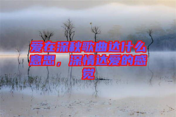 愛在深秋歌曲達(dá)什么意思，深情達(dá)愛的感覺