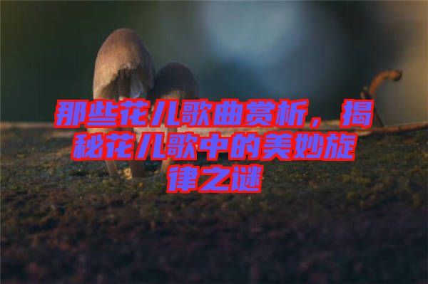 那些花兒歌曲賞析，揭秘花兒歌中的美妙旋律之謎