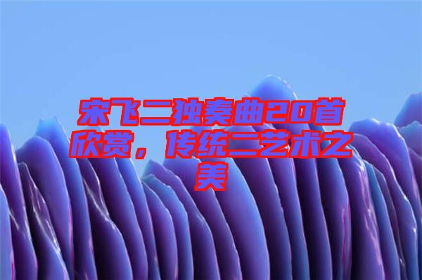 宋飛二獨奏曲20首欣賞，傳統(tǒng)二藝術(shù)之美