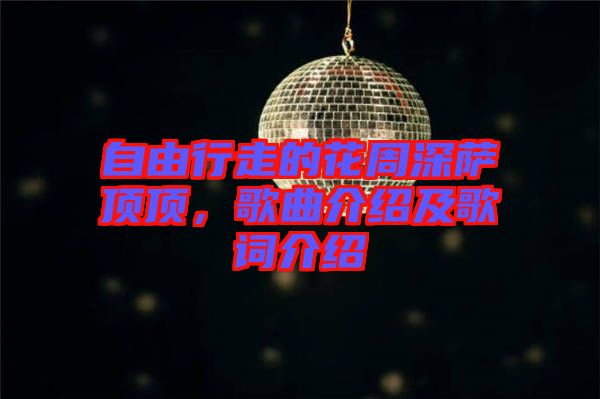 自由行走的花周深薩頂頂，歌曲介紹及歌詞介紹