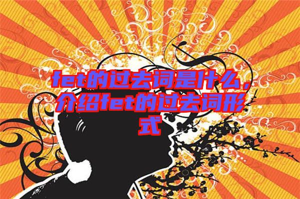 fet的過去詞是什么，介紹fet的過去詞形式