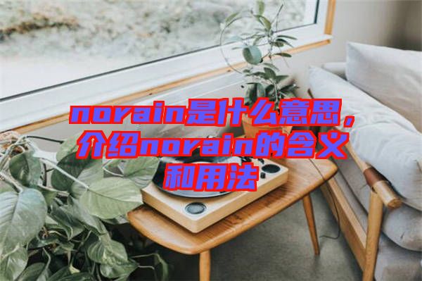 norain是什么意思，介紹norain的含義和用法