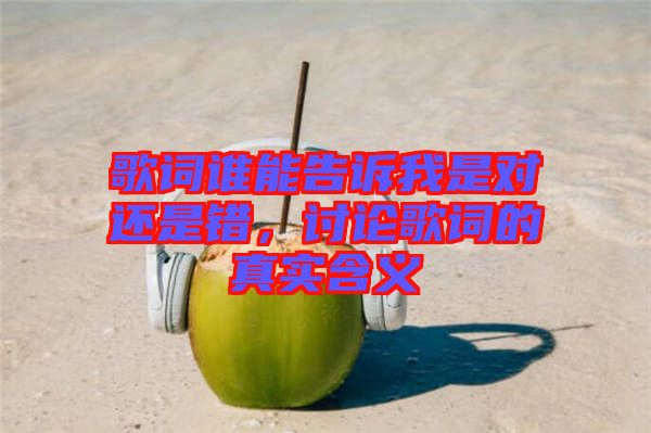 歌詞誰能告訴我是對還是錯(cuò)，討論歌詞的真實(shí)含義