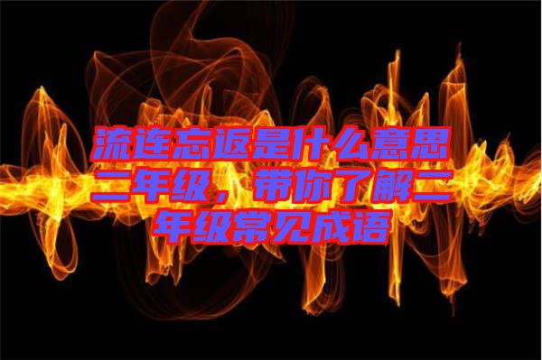 流連忘返是什么意思二年級，帶你了解二年級常見成語