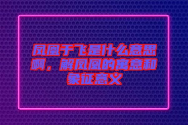 鳳凰于飛是什么意思啊，解鳳凰的寓意和象征意義