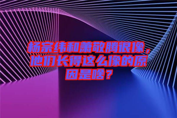 楊宗緯和蕭敬騰很像，他們長(zhǎng)得這么像的原因是啥？