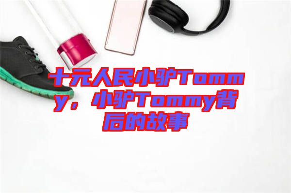 十元人民小驢Tommy，小驢Tommy背后的故事