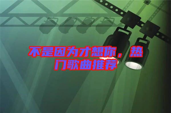 不是因?yàn)椴畔肽?，熱門歌曲推薦