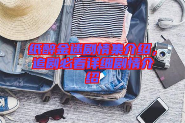 紙醉金迷劇情集介紹，追劇必看詳細劇情介紹