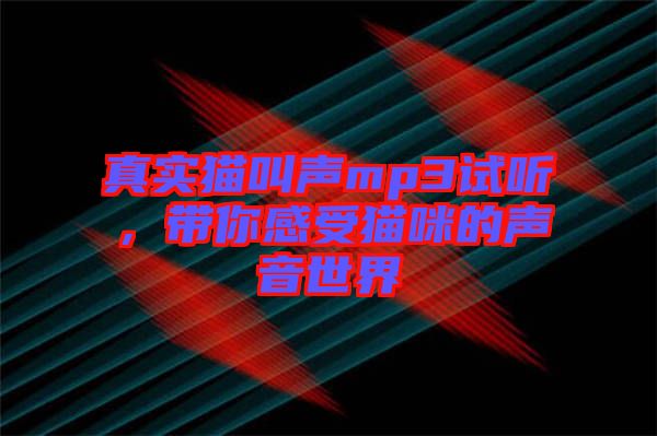 真實(shí)貓叫聲mp3試聽，帶你感受貓咪的聲音世界