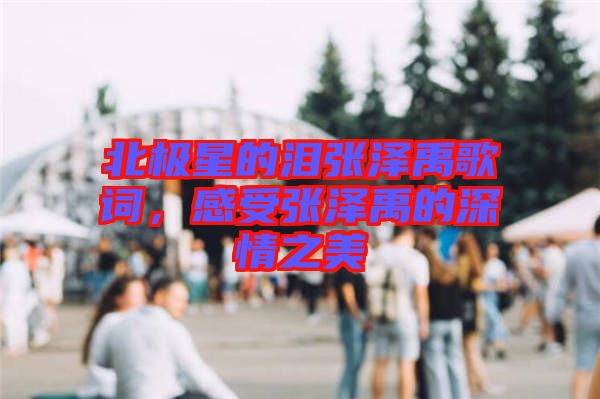 北極星的淚張澤禹歌詞，感受張澤禹的深情之美