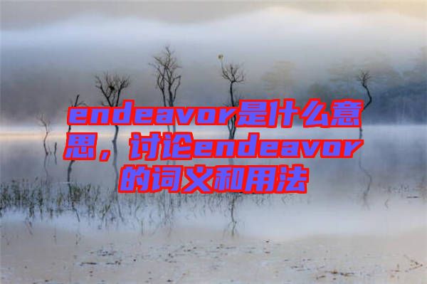 endeavor是什么意思，討論endeavor的詞義和用法