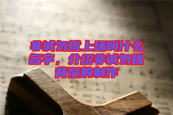 非誠(chéng)勿擾上場(chǎng)叫什么名字，介紹非誠(chéng)勿擾背后的制作