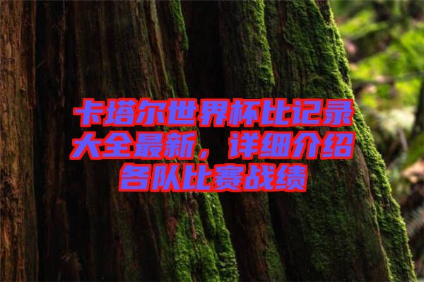 卡塔爾世界杯比記錄大全最新，詳細(xì)介紹各隊(duì)比賽戰(zhàn)績(jī)