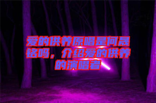 愛(ài)的供養(yǎng)原唱是何晟銘嗎，介紹愛(ài)的供養(yǎng)的演唱者