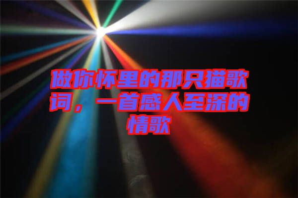 做你懷里的那只貓歌詞，一首感人至深的情歌