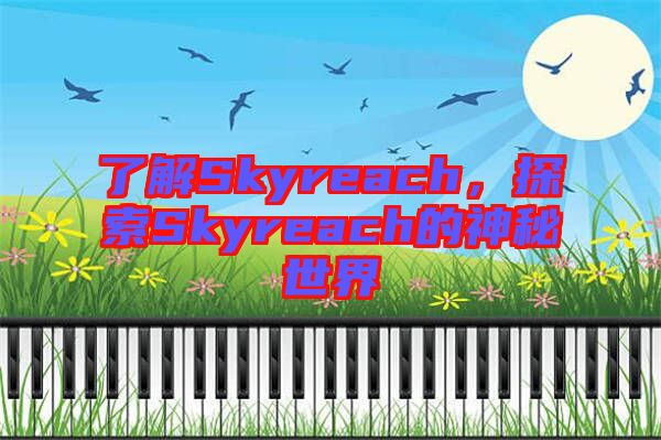 了解Skyreach，探索Skyreach的神秘世界