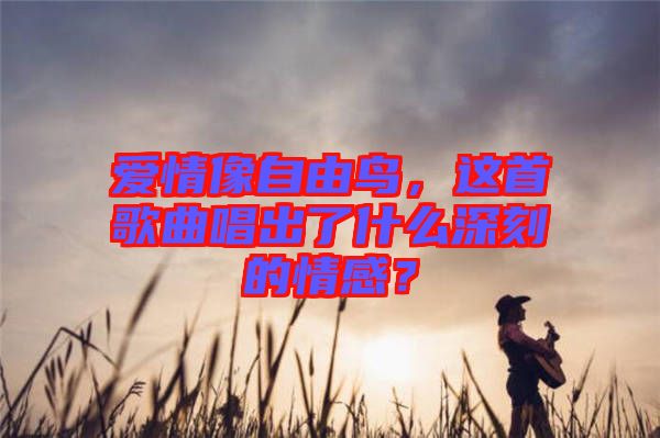 愛(ài)情像自由鳥(niǎo)，這首歌曲唱出了什么深刻的情感？