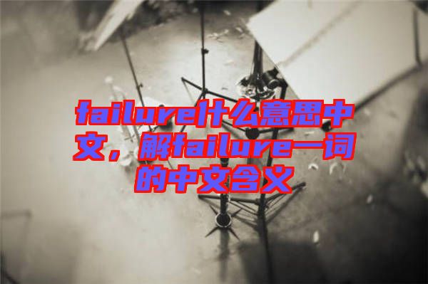 failure什么意思中文，解failure一詞的中文含義