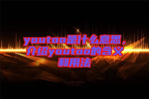 youtoo是什么意思，介紹youtoo的含義和用法