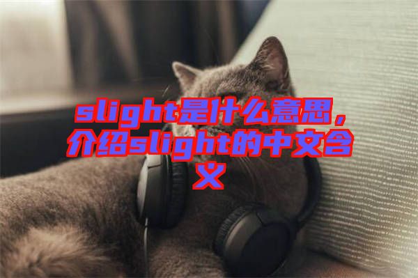 slight是什么意思，介紹slight的中文含義