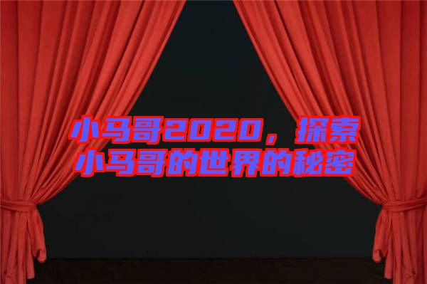 小馬哥2020，探索小馬哥的世界的秘密