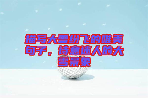 描寫大雪紛飛的唯美句子，詩意迷人的大雪景象