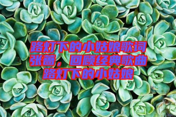 路燈下的小姑娘歌詞張薔，回顧經(jīng)典歌曲路燈下的小姑娘