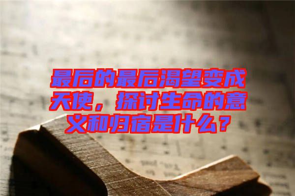 最后的最后渴望變成天使，探討生命的意義和歸宿是什么？