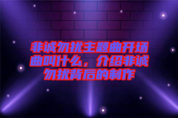 非誠(chéng)勿擾主題曲開場(chǎng)曲叫什么，介紹非誠(chéng)勿擾背后的制作