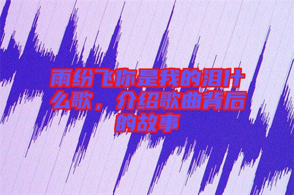 雨紛飛你是我的淚什么歌，介紹歌曲背后的故事